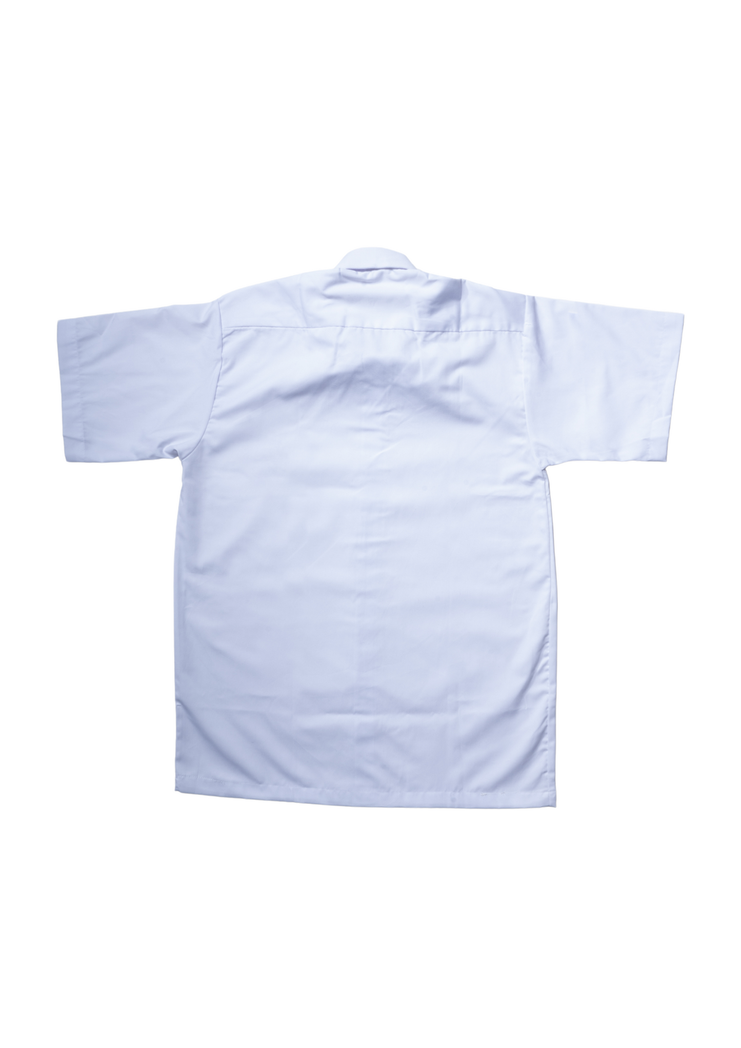 IB/AL Collar Blouse